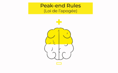 Peak-end rules et rationalisation a posteriori
